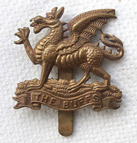 Buffs Cap Badge