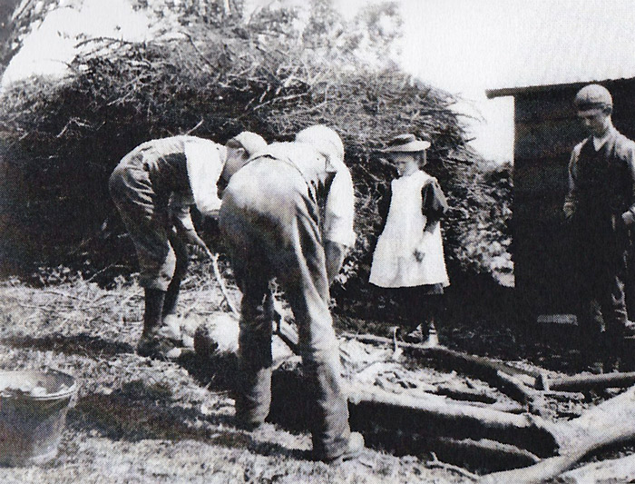Ragdale farm 1896: clearing wood