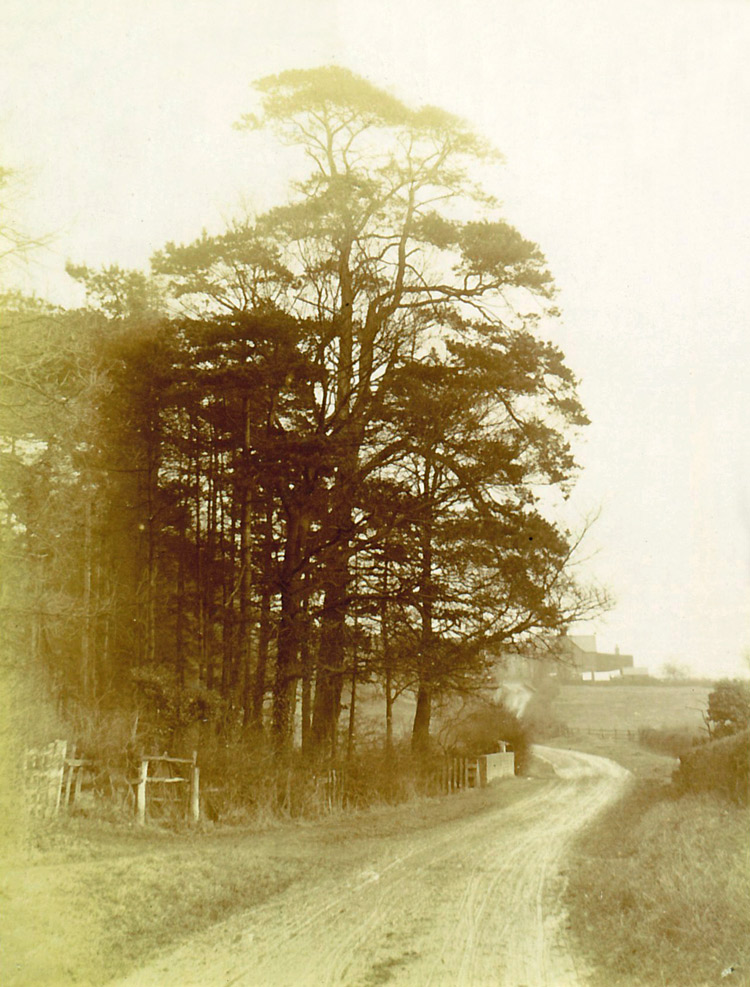 Thrussington Road Hoby