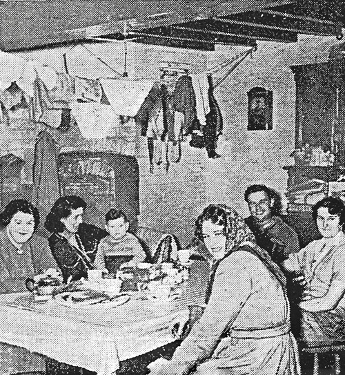 Homestead Kitchen
