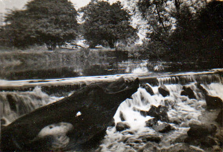 Hoby Mill